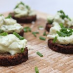 avokado-katkis-skagen