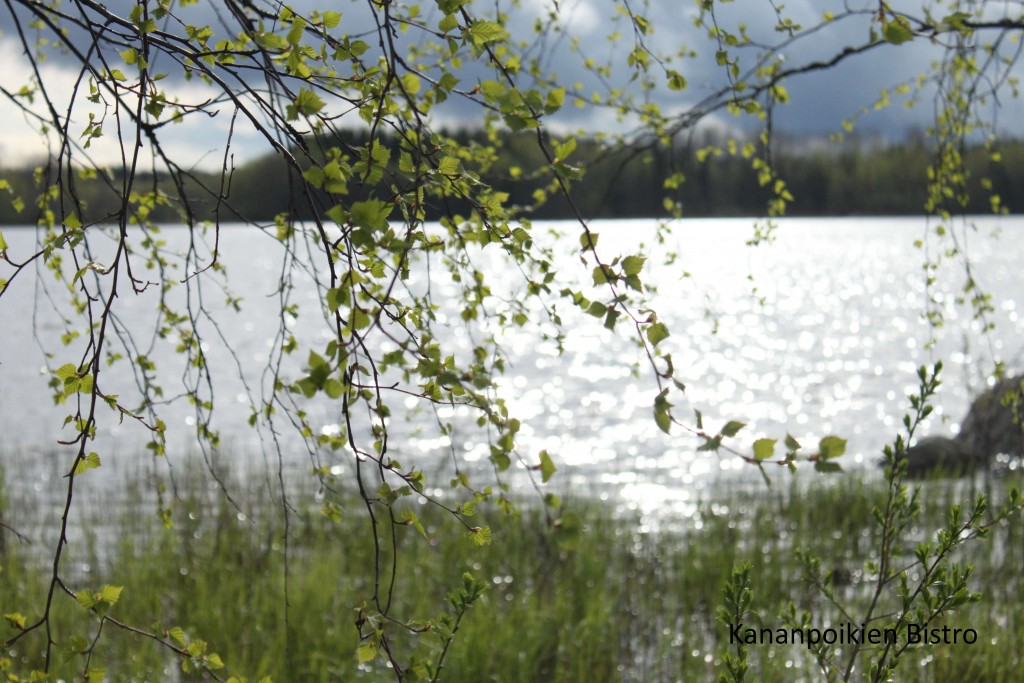 Keväinen järvimaisema