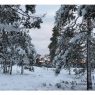 nuuksio2